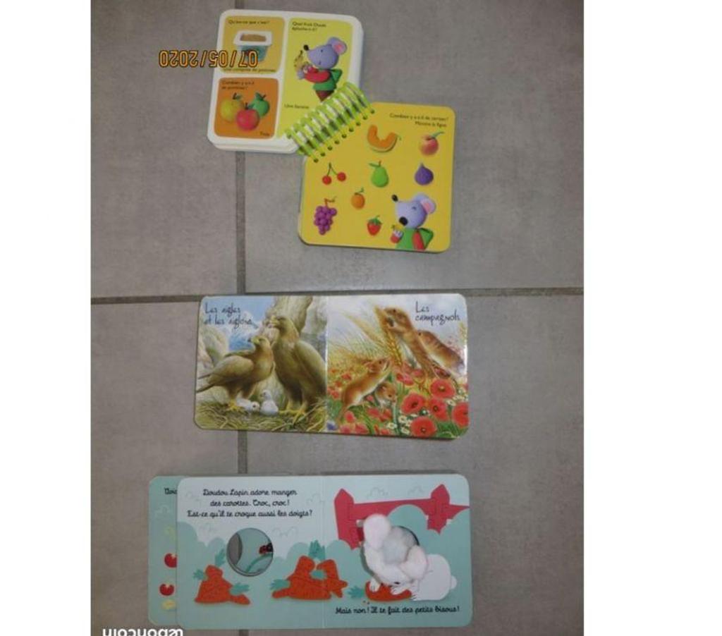 Livres occasion Puy-de-Dôme Clermont Ferrand - Photos Vivastreet Lot de 3 livres d'apprentissage