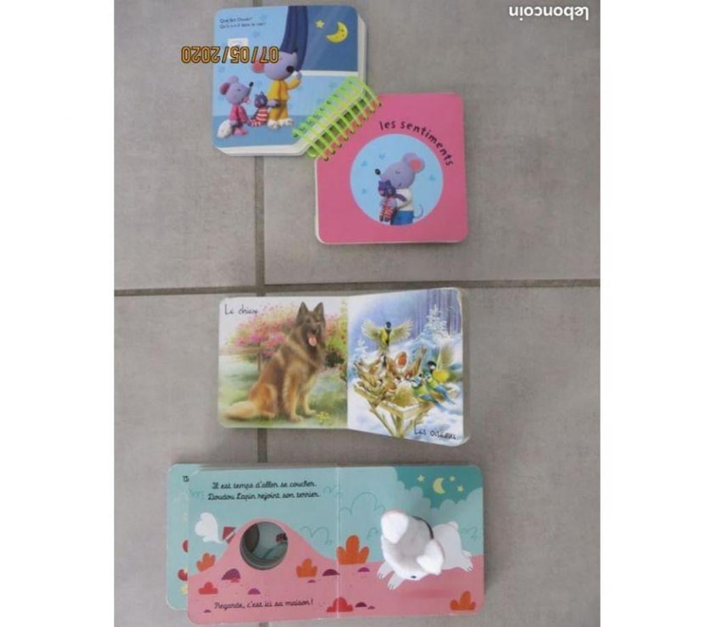 Livres occasion Puy-de-Dôme Clermont Ferrand - Photos Vivastreet Lot de 3 livres d'apprentissage