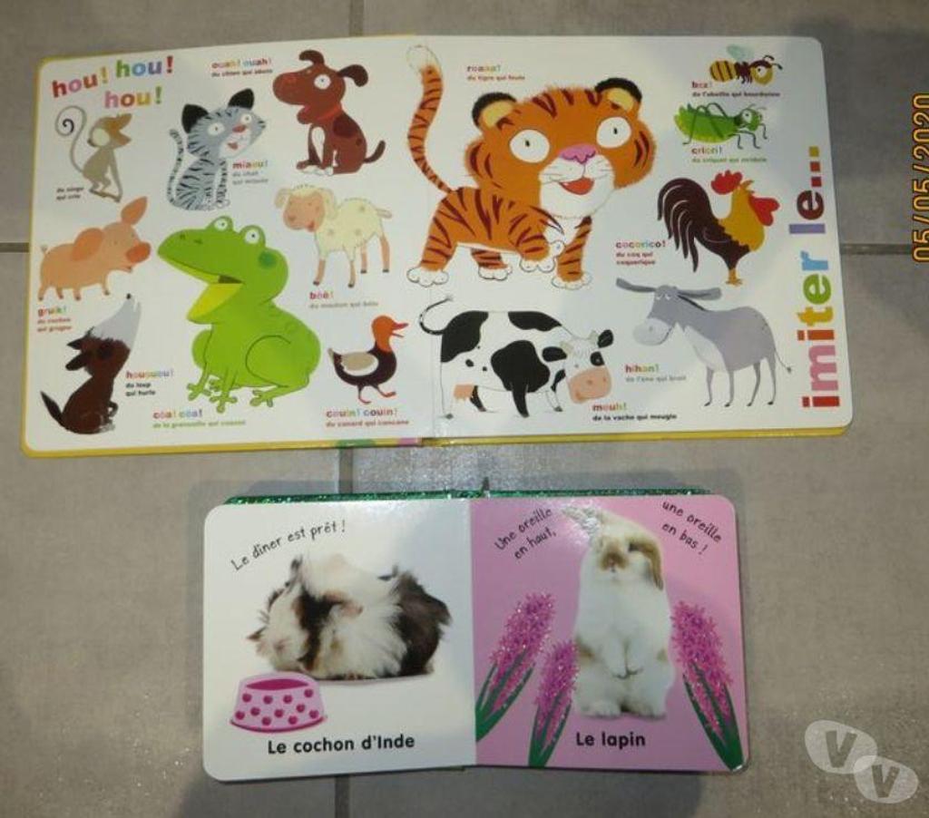 Livres occasion Puy-de-Dôme Clermont Ferrand - Photos Vivastreet Lot de 2 livres d'éveil