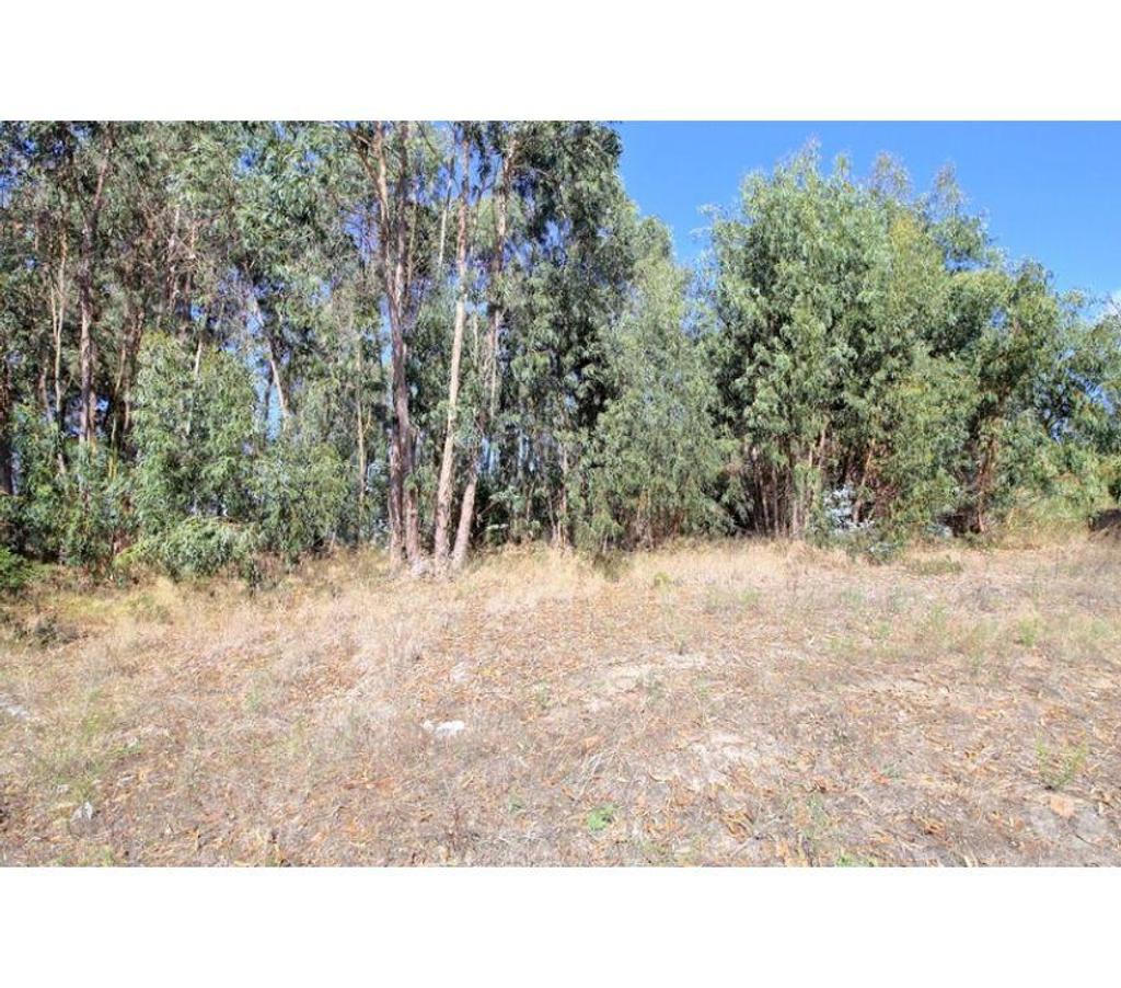 Terrain à vendre Portugal - Photos Vivastreet Terrain - Caldas da Rainha - 758m2