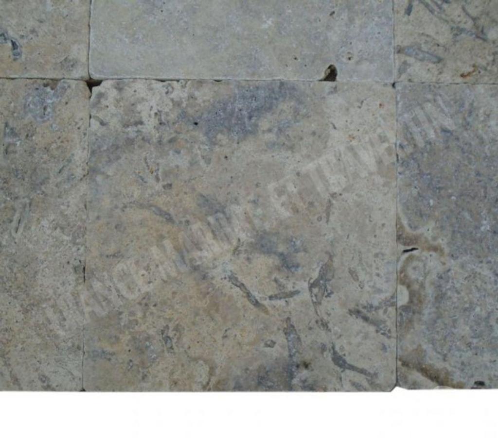  Var Forcalqueiret - 83136 - Photos Vivastreet Travertin Gris Silver 40x40 cm REF 703