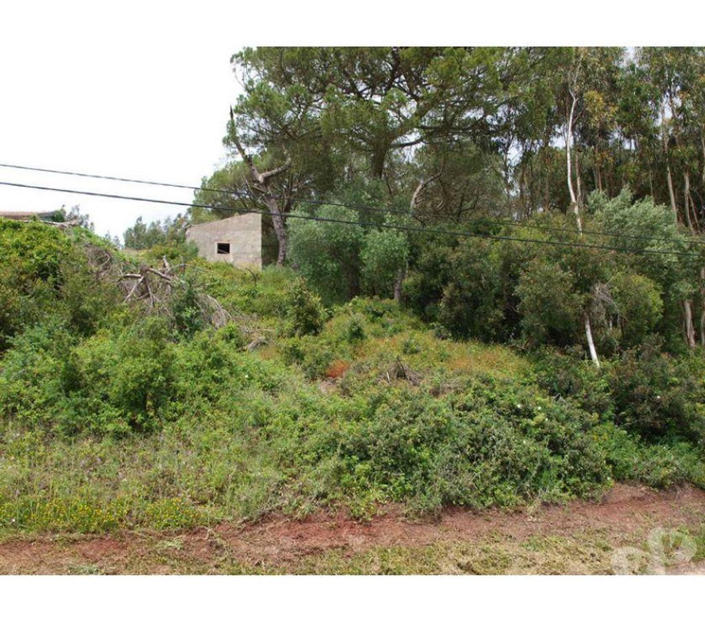 Terrain à vendre Portugal - Photos Vivastreet Terrain - ï¿½bidos - 2260m2
