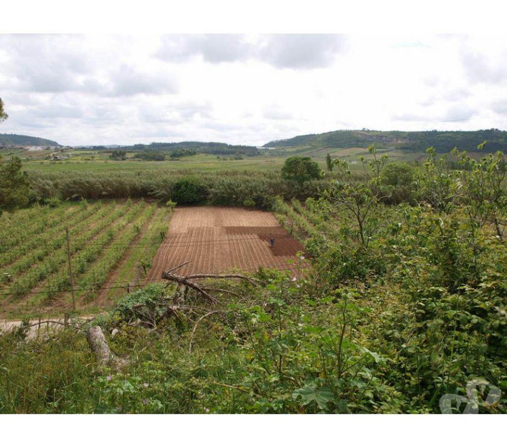 Terrain à vendre Portugal - Photos Vivastreet Terrain - ï¿½bidos - 2260m2