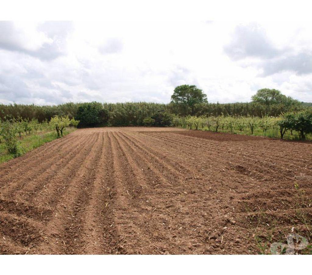 Terrain à vendre Portugal - Photos Vivastreet Terrain - ï¿½bidos - 2260m2