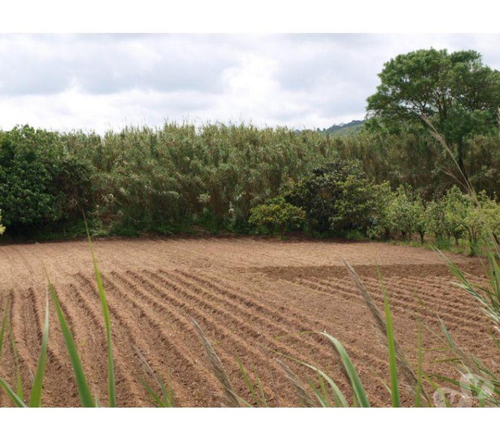 Terrain à vendre Portugal - Photos Vivastreet Terrain - ï¿½bidos - 2260m2
