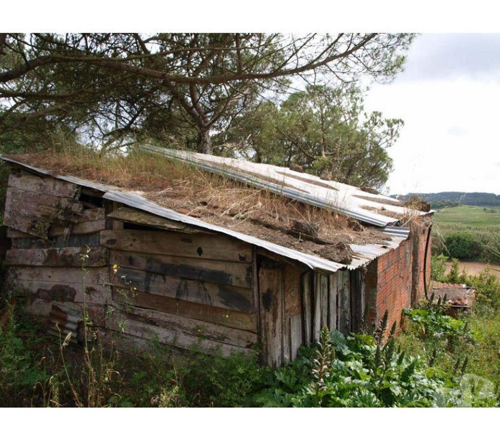 Terrain à vendre Portugal - Photos Vivastreet Terrain - ï¿½bidos - 2260m2