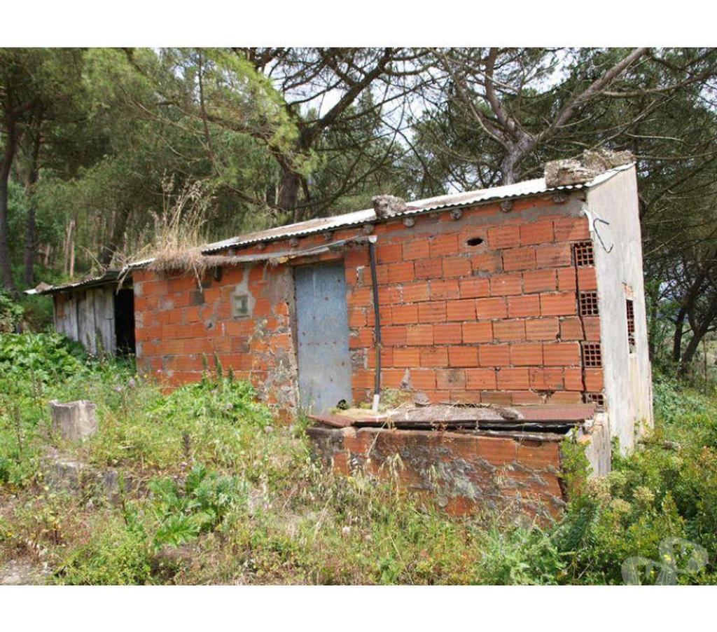 Terrain à vendre Portugal - Photos Vivastreet Terrain - ï¿½bidos - 2260m2