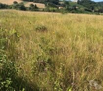 TERRAIN A BATIR 5300 M²