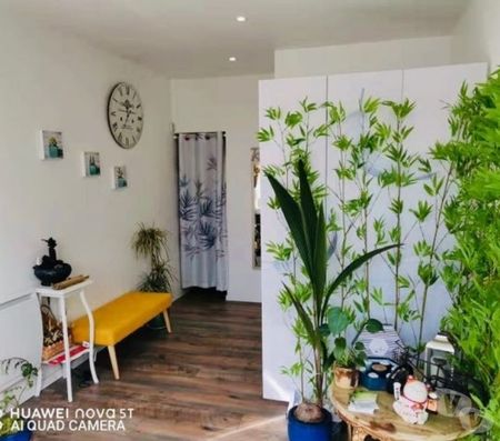 Massages Nord Marcq en Baroeul - 59700 - Photos Vivastreet Massage et bien-être NaturÔzen