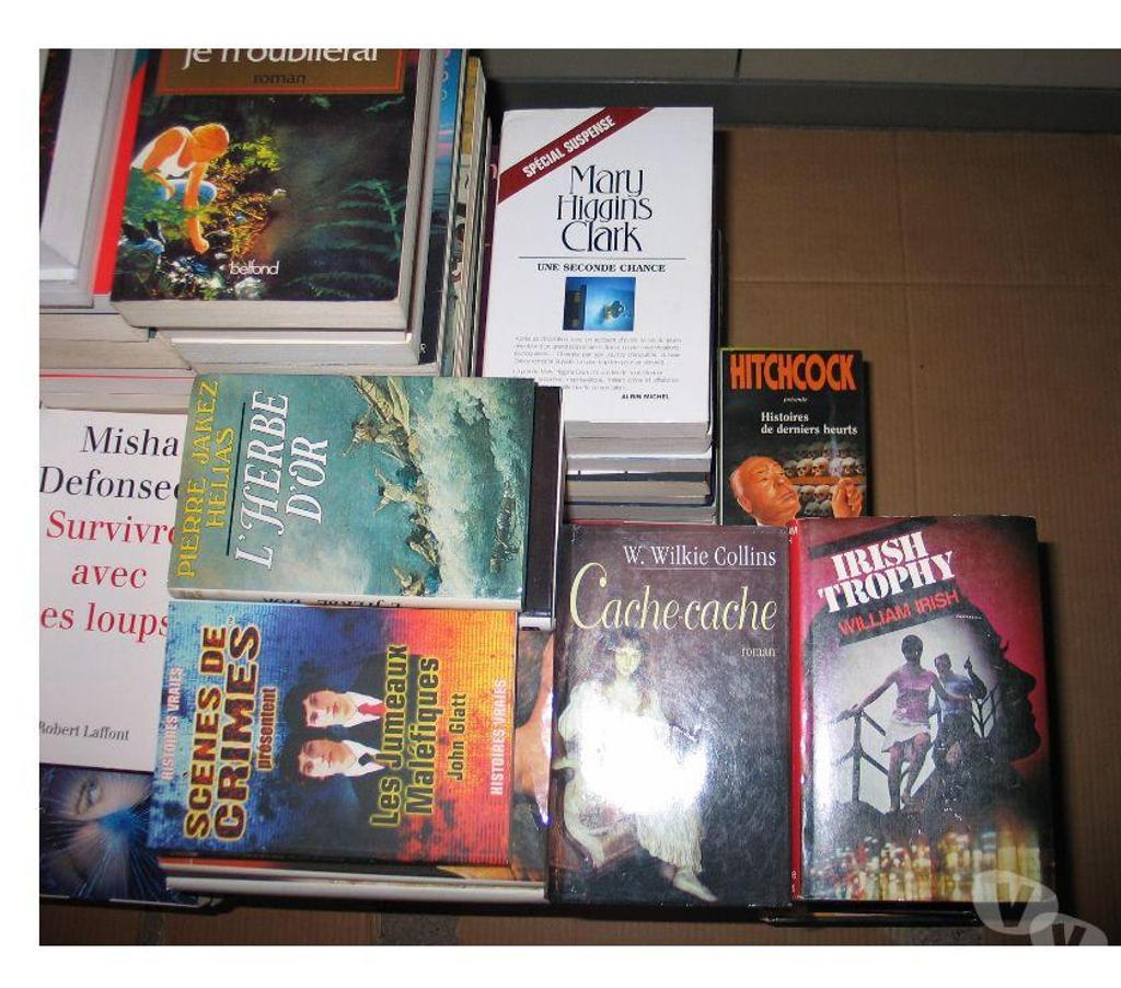 Livres occasion Essonne Quincy sous Senart - 91480 - Photos Vivastreet Lots par 10 romans ou plus