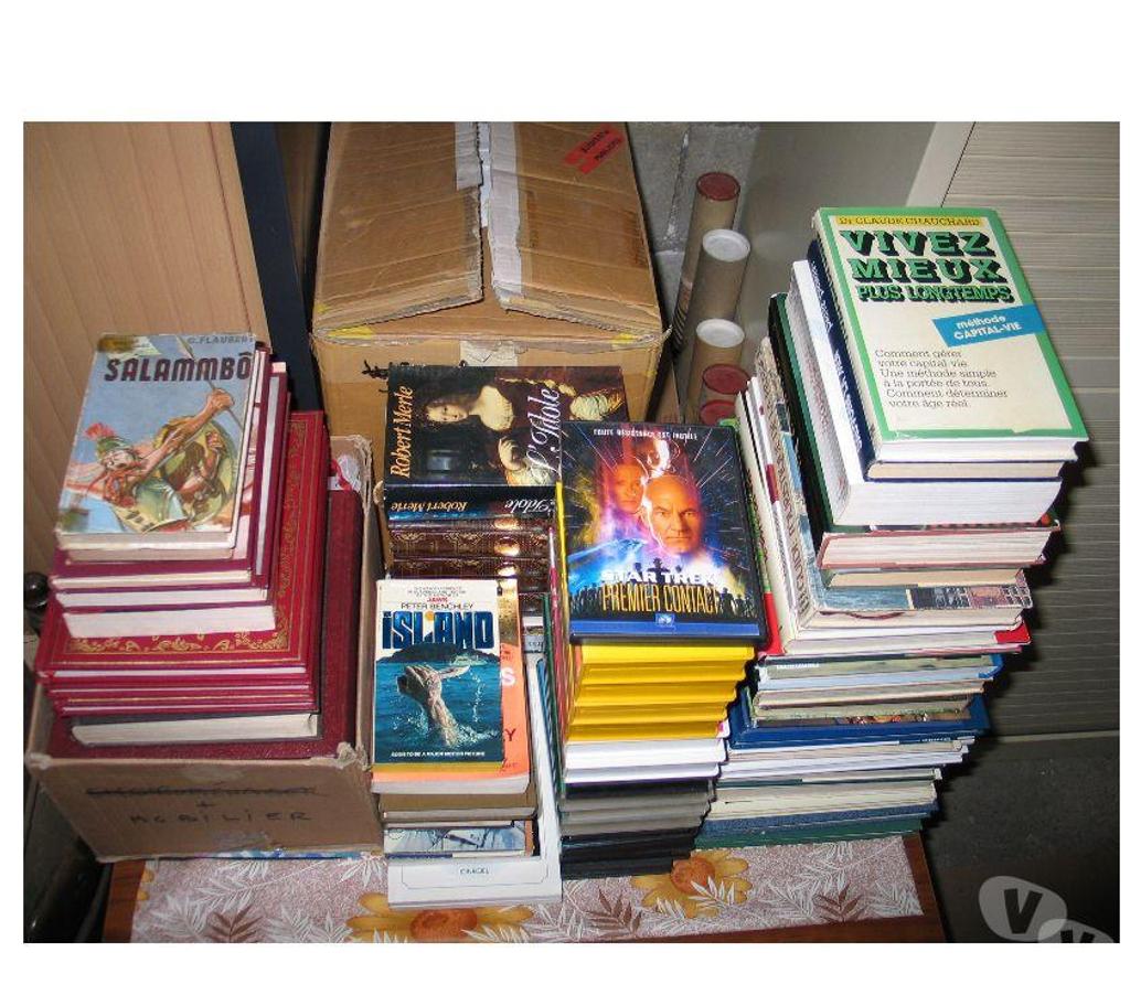 Livres occasion Essonne Quincy sous Senart - 91480 - Photos Vivastreet Lots par 10 romans ou plus