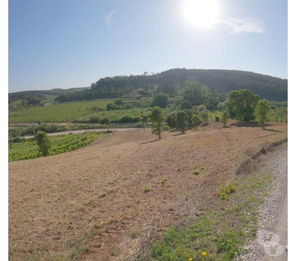 Terrain à vendre Portugal - Photos Vivastreet Terrain - Bombarral - 1160m2