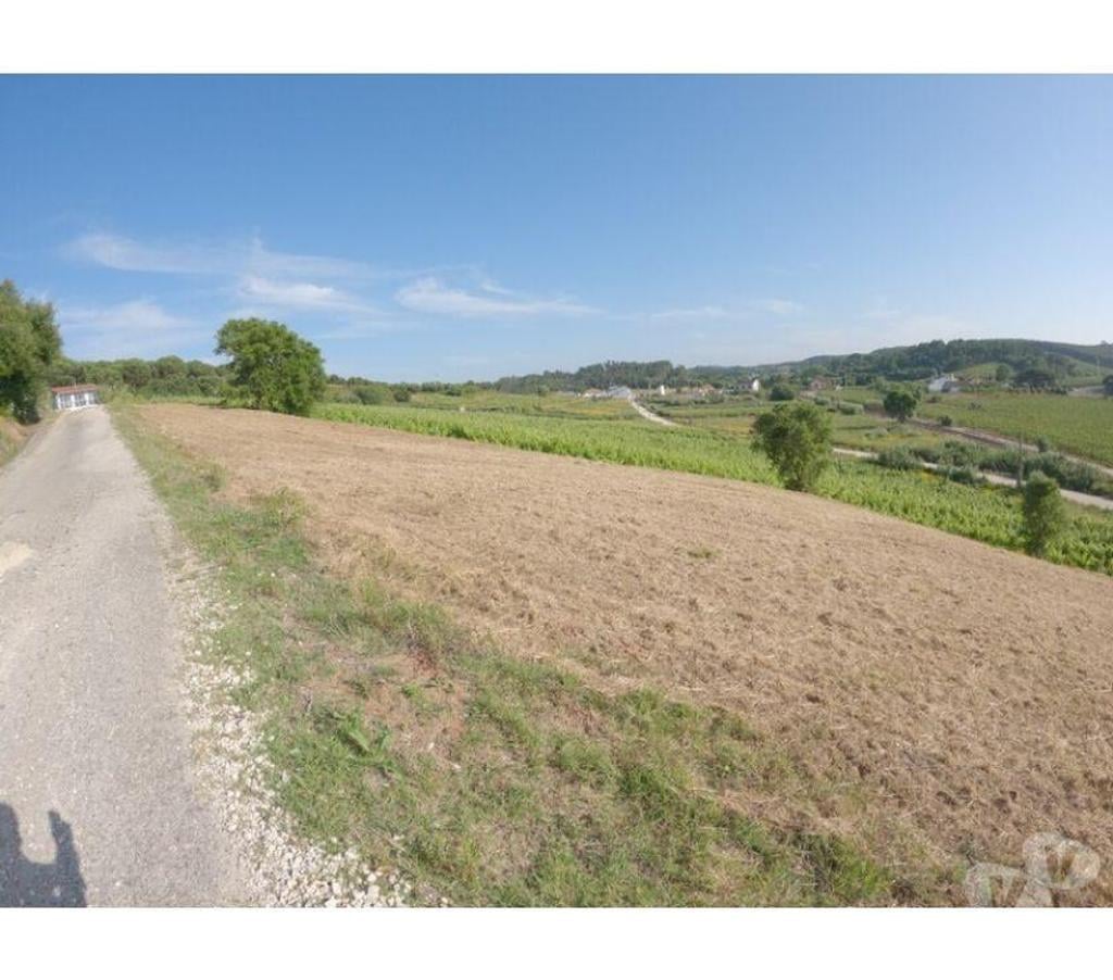 Terrain à vendre Portugal - Photos Vivastreet Terrain - Bombarral - 1160m2