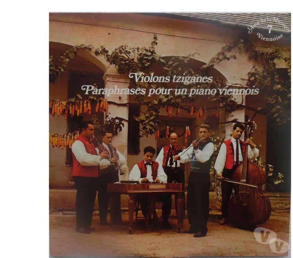 CDs Hérault Castries - 34160 - Photos Vivastreet L’âme de la musique Johann Strauss Coffret de 8 disques 33 t