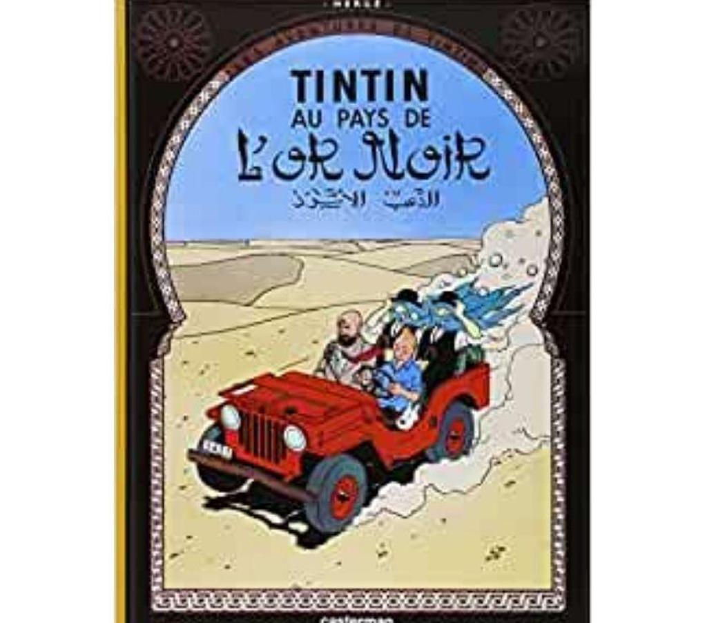 DVD occasion Bouches-du-Rhône Aix en Provence - Photos Vivastreet LES AVENTURES DE TINTIN 21 DVD VIDEOS COFFRET INTEGRAL