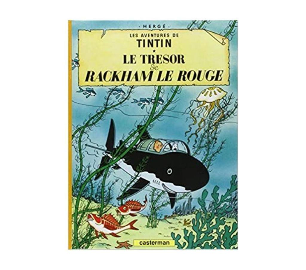 DVD occasion Bouches-du-Rhône Aix en Provence - Photos Vivastreet LES AVENTURES DE TINTIN 21 DVD VIDEOS COFFRET INTEGRAL
