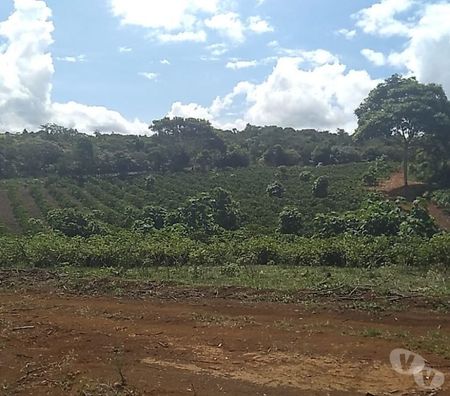 Vente Terres Agricoles Brésil - Photos Vivastreet ferme productive 