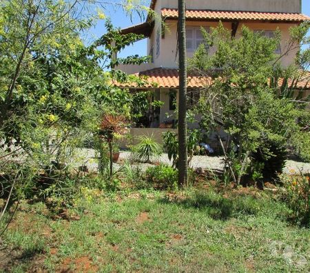Vente Terres Agricoles Brésil - Photos Vivastreet ferme productive 