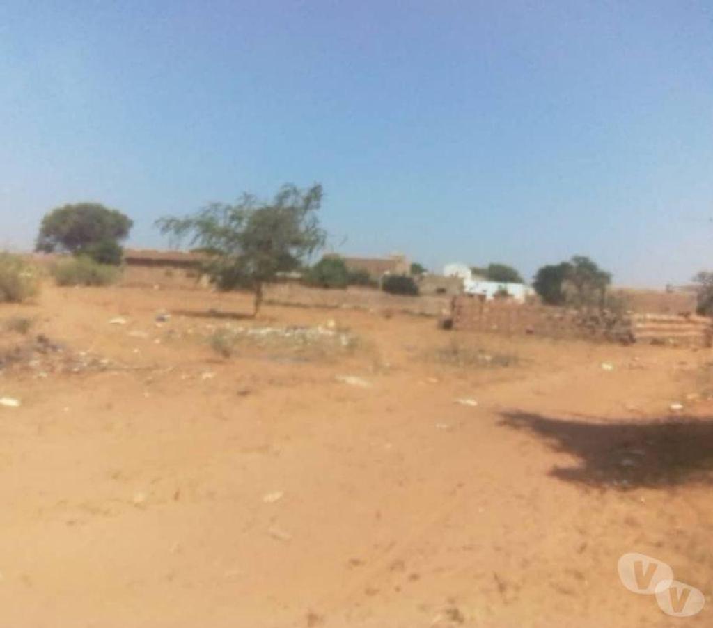 Terrain à vendre Sénégal - Photos Vivastreet Vente terrains à Thiafoura ( petite cote )