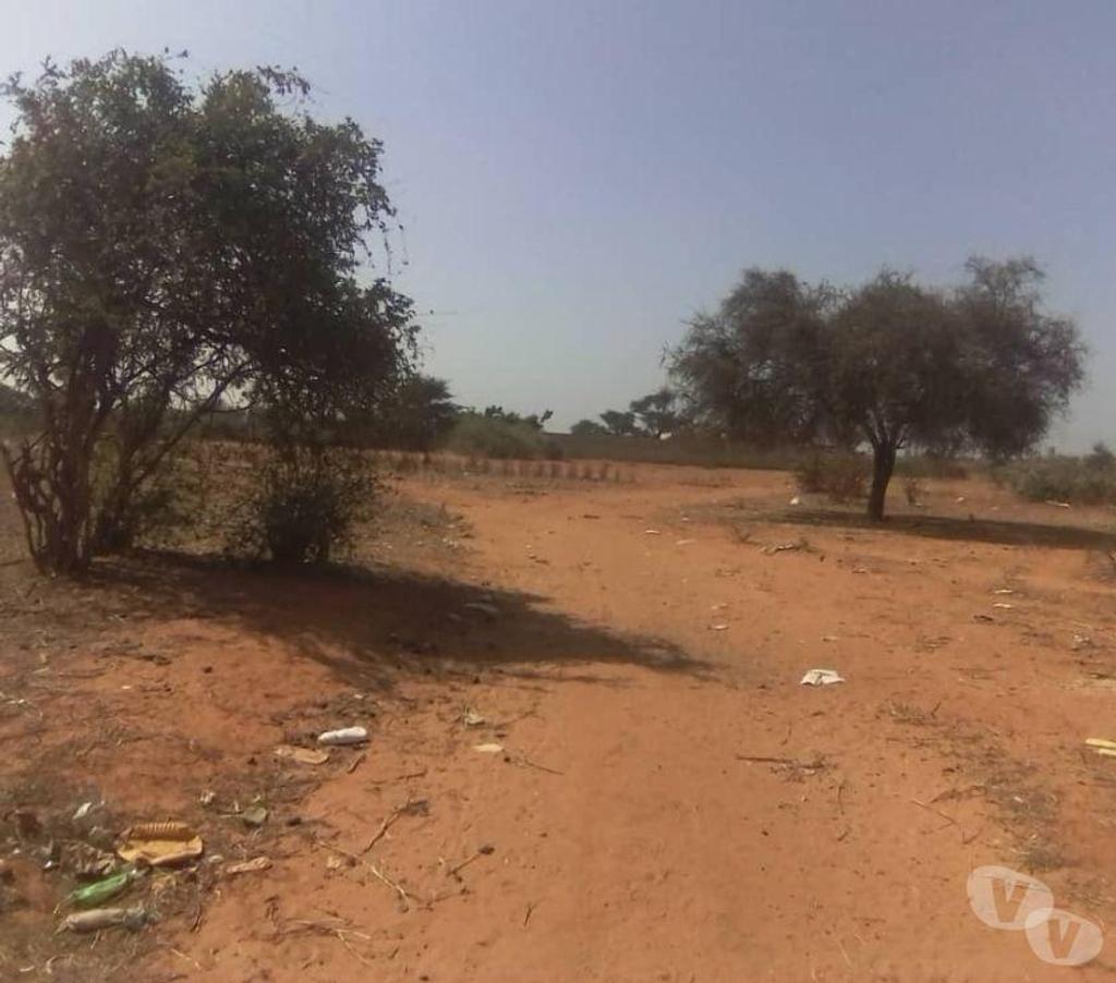 Terrain à vendre Sénégal - Photos Vivastreet Vente terrains à Thiafoura ( petite cote )