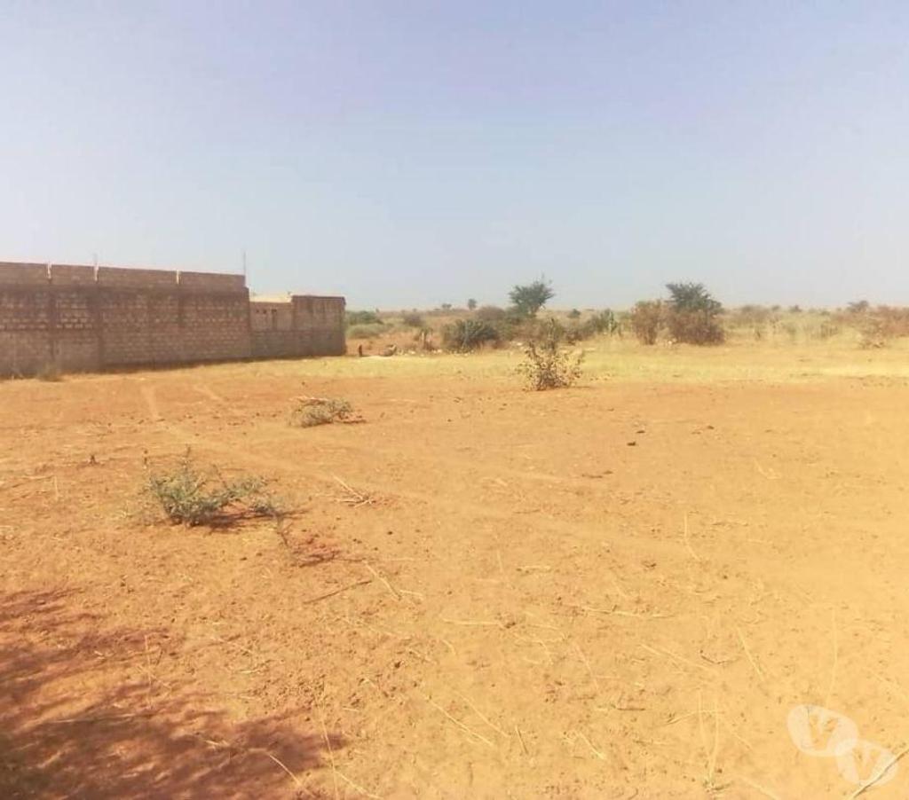 Terrain à vendre Sénégal - Photos Vivastreet Vente terrains à Thiafoura ( petite cote )