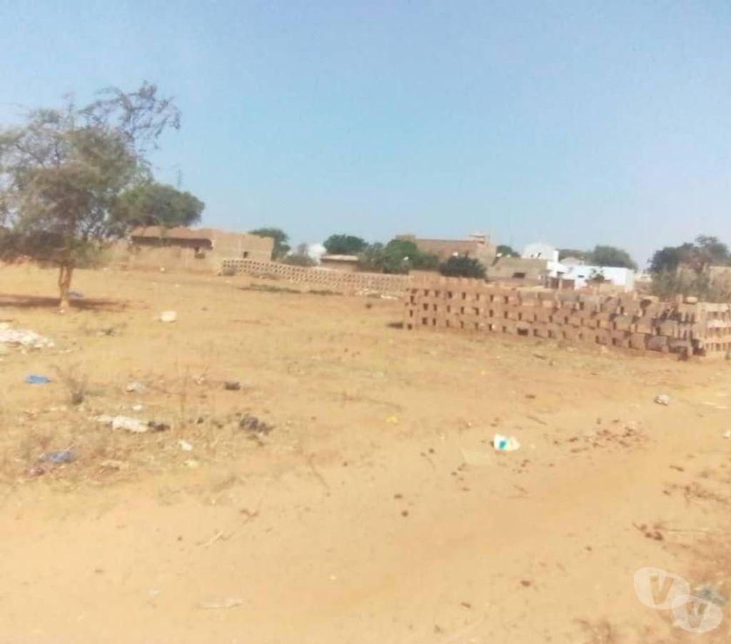 Terrain à vendre Sénégal - Photos Vivastreet Vente terrains à Thiafoura ( petite cote )
