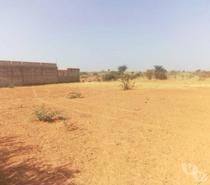 Vente terrains à Thiafoura ( petite cote )
