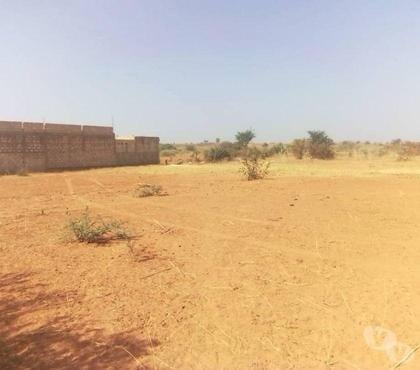 Vente Terrain - Photos Vivastreet Vente terrains à Thiafoura ( petite cote )