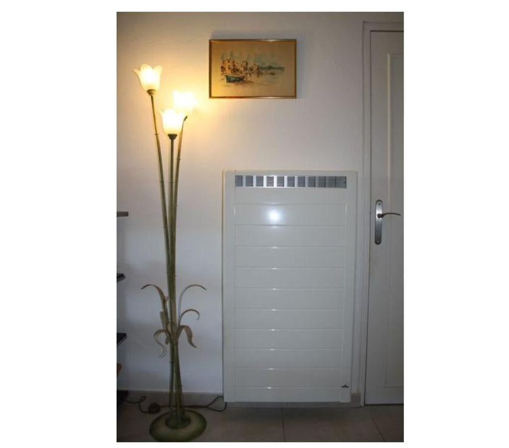 Seine-et-Marne Faremoutiers - 77515 - Photos Vivastreet radiateur vertical à très forte inertie ROTHELEC
