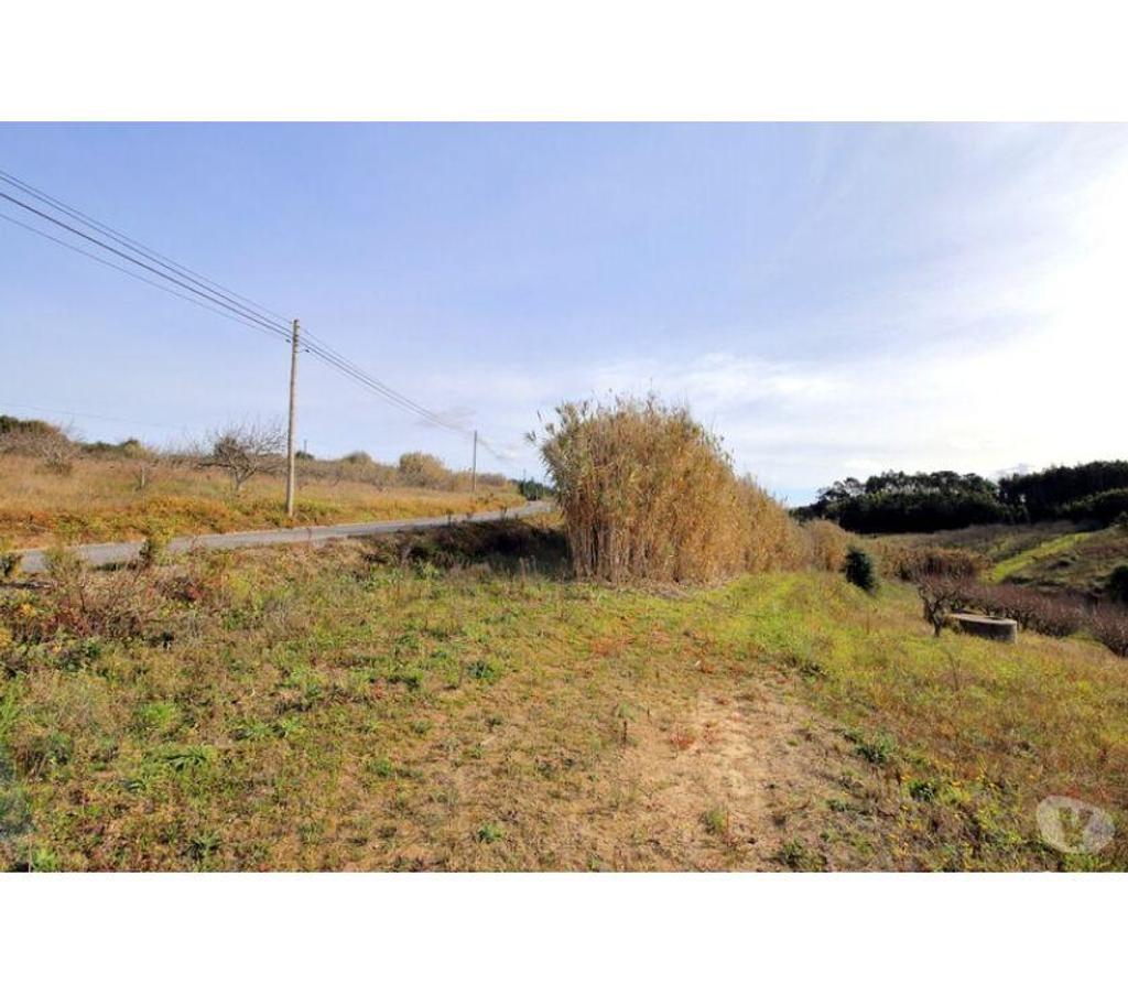 Terrain à vendre Portugal - Photos Vivastreet Terrain - ï¿½bidos - 74080m2