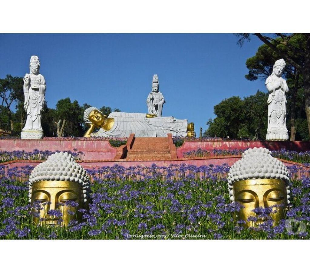 Terrain à vendre Portugal - Photos Vivastreet Terrain - ï¿½bidos - 74080m2