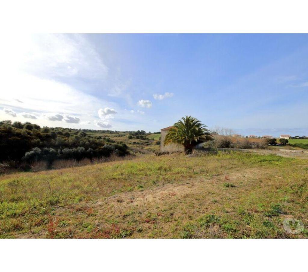 Terrain à vendre Portugal - Photos Vivastreet Terrain - ï¿½bidos - 74080m2