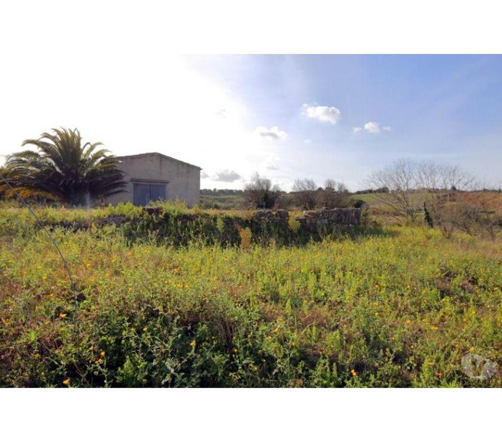 Terrain à vendre Portugal - Photos Vivastreet Terrain - ï¿½bidos - 74080m2