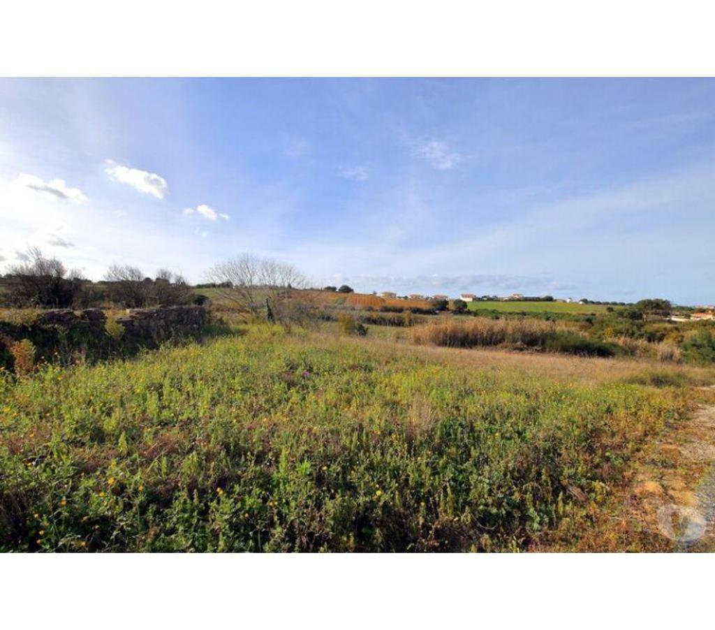 Terrain à vendre Portugal - Photos Vivastreet Terrain - ï¿½bidos - 74080m2