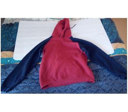 Vêtements occasion Chalette sur Loing Loiret - Photos Vivastreet Sweat capuche homme