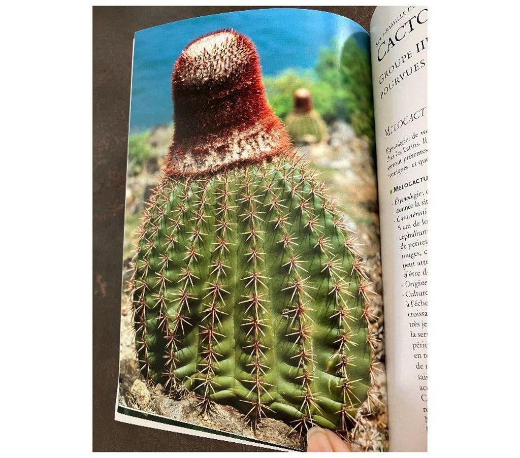 Livres occasion Gard Nimes - Photos Vivastreet Livre sur les cactus 