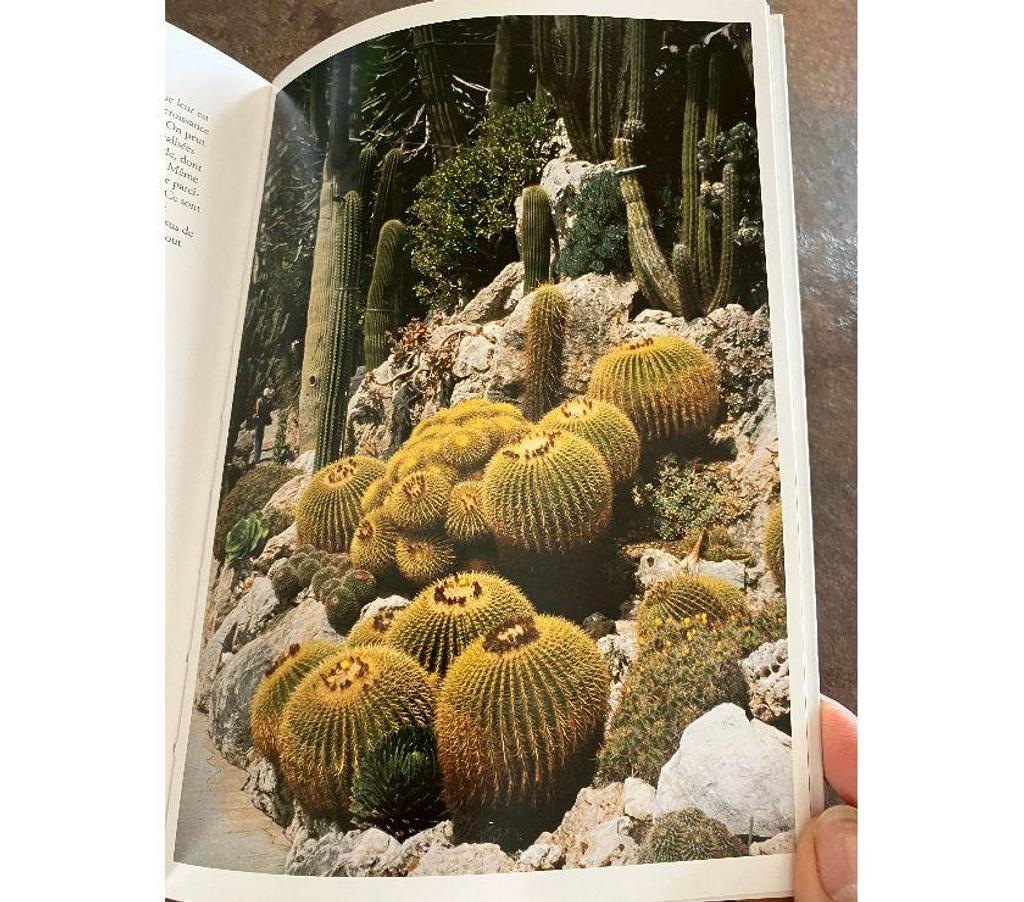 Livres occasion Gard Nimes - Photos Vivastreet Livre sur les cactus 