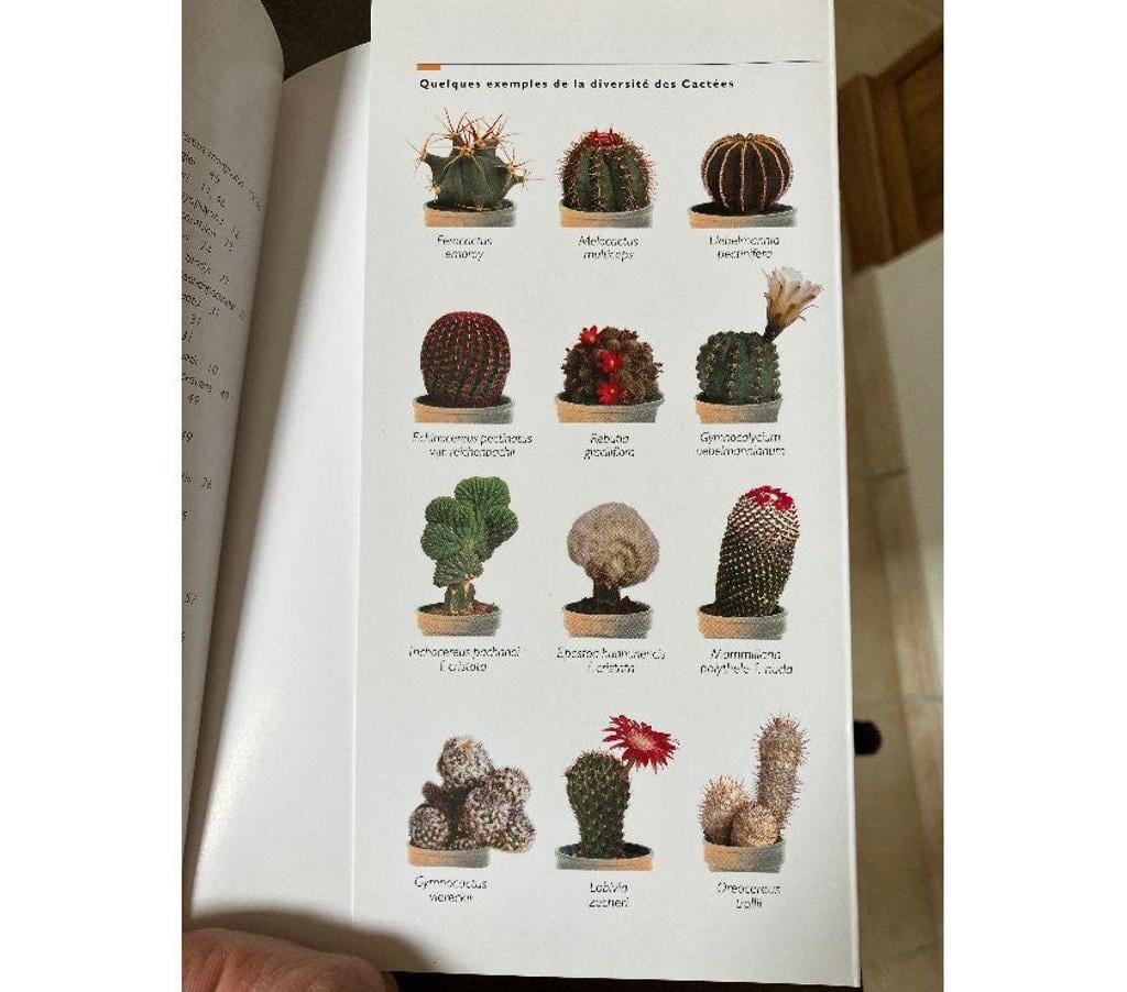 Livres occasion Gard Nimes - Photos Vivastreet Livre sur les cactus 