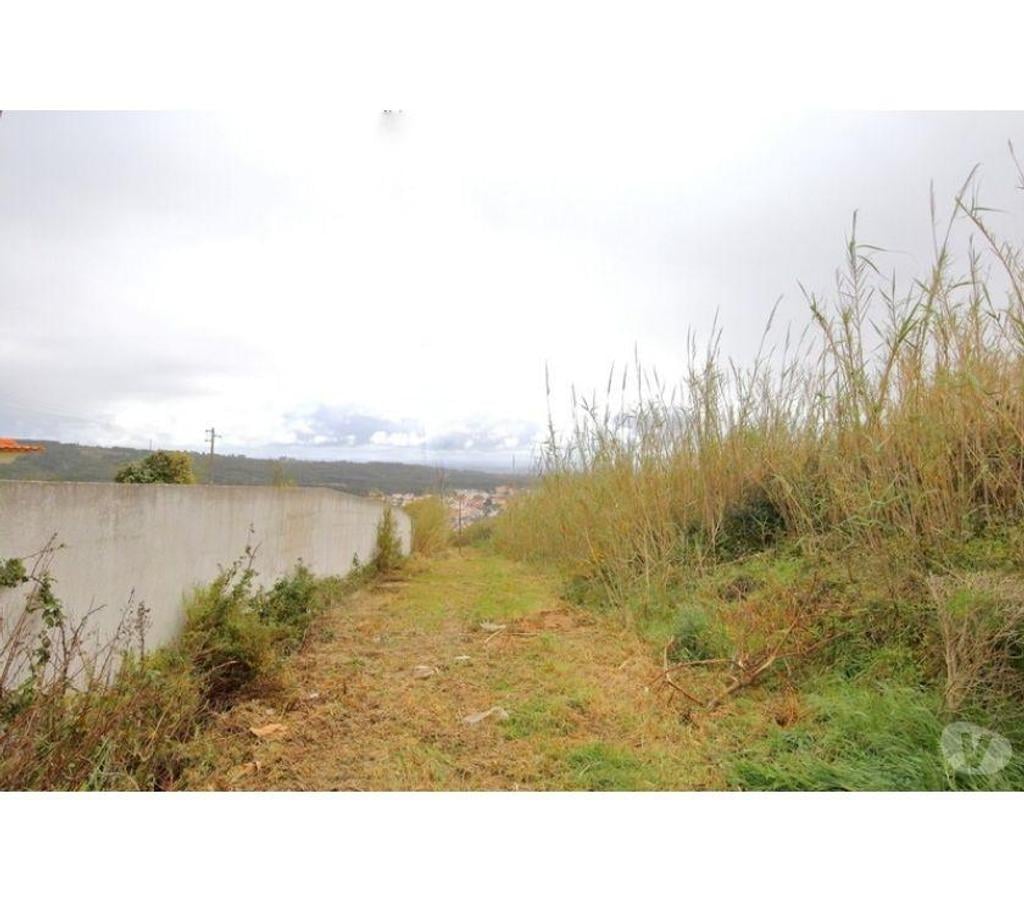 Terrain à vendre Portugal - Photos Vivastreet Terrain - Caldas da Rainha - 5029m2