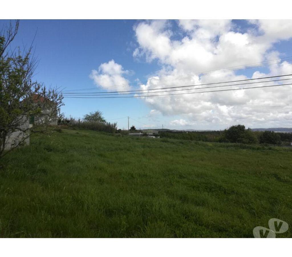 Terrain à vendre Portugal - Photos Vivastreet Terrain - Caldas da Rainha - 2976m2