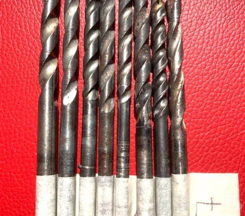  Nord Valenciennes - 59300 - Photos Vivastreet Forets à béton 207