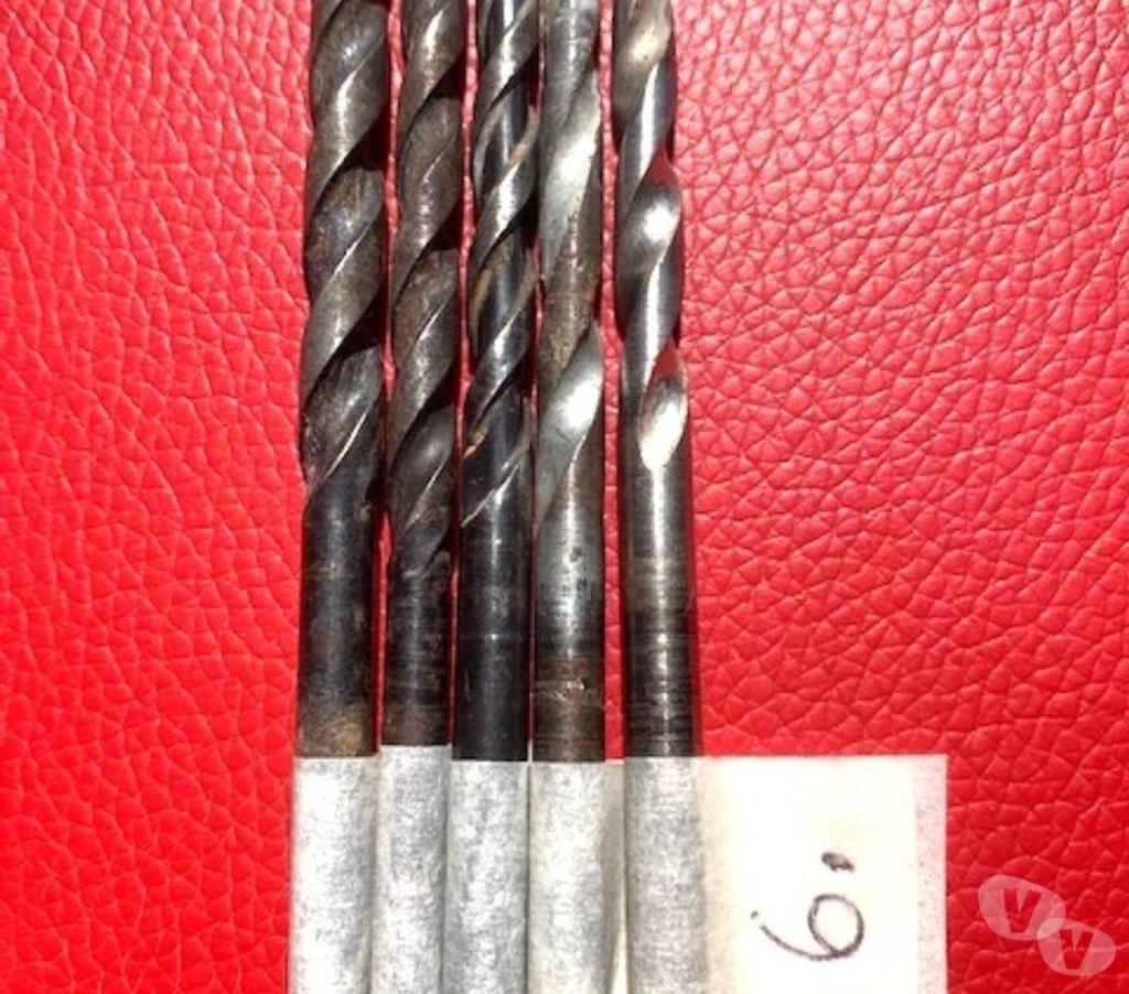  Nord Valenciennes - 59300 - Photos Vivastreet Forets à béton 207