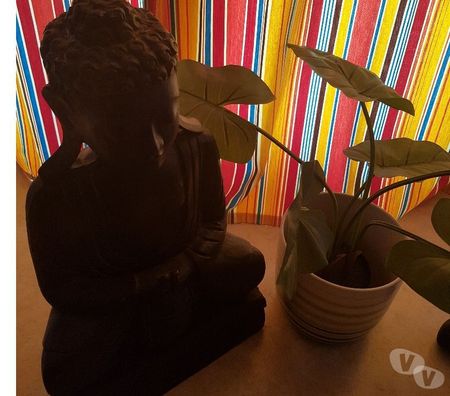 Massages Yvelines Maurepas - 78310 - Photos Vivastreet Massages californiens