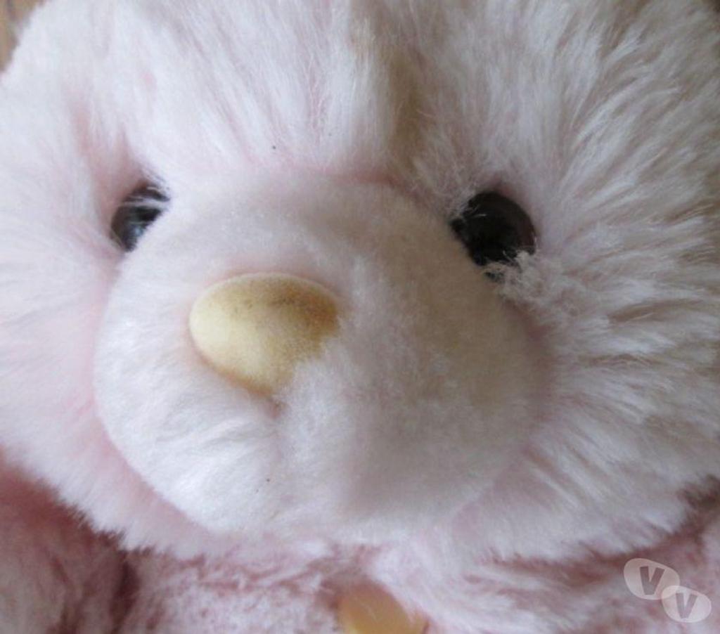 Jeux - Jouets Nord Valenciennes - 59300 - Photos Vivastreet Peluches musicales et mécaniques 60