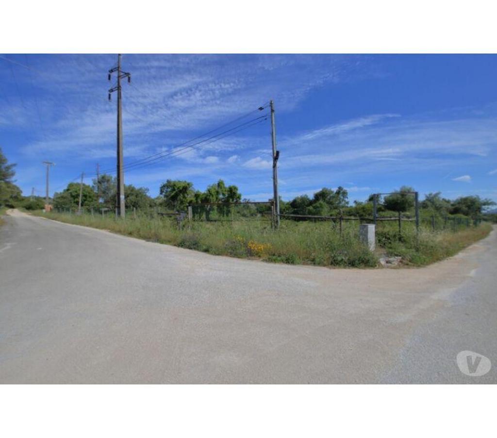 Terrain à vendre Portugal - Photos Vivastreet Terrain - Alcobaï¿½a - 1941m2