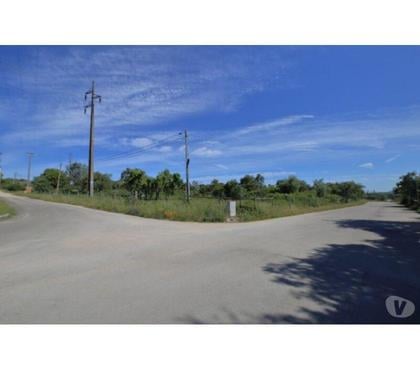 Terrain à vendre - Photos Vivastreet Terrain - Alcobaï¿½a - 1941m2