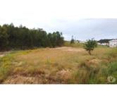 Terrain - Caldas da Rainha - 4459m2