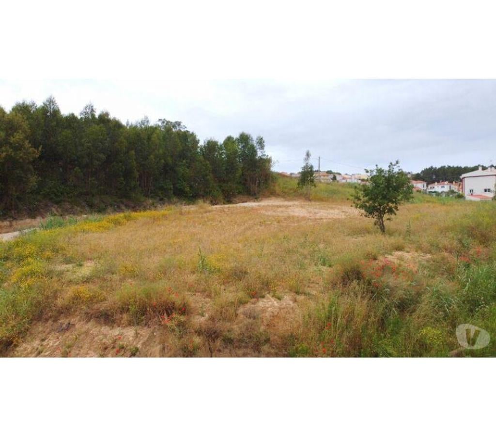 Terrain à vendre Portugal - Photos Vivastreet Terrain - Caldas da Rainha - 4459m2