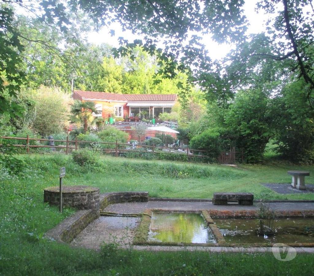 Vente Charente St Yrieix sur Charente - 16710 - Photos Vivastreet plantes et poissons de bassin