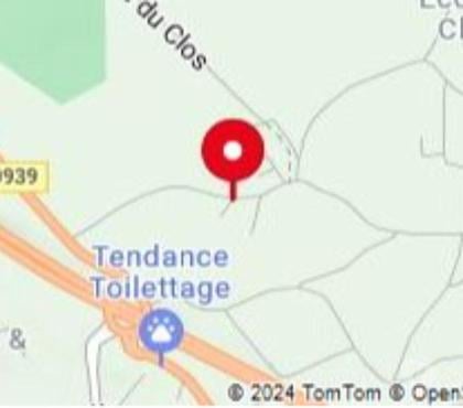 Vente animaux St Yrieix sur Charente Charente - Photos Vivastreet plantes et poissons de bassin